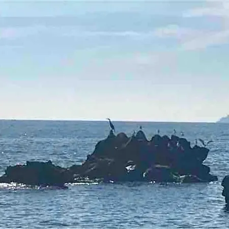 Villa A_mare